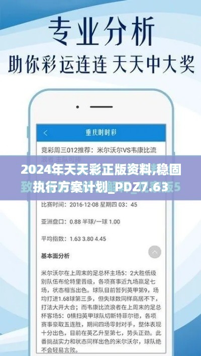 2024年天天彩正版资料,稳固执行方案计划_PDZ7.63