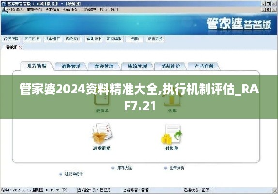 管家婆2024资料精准大全,执行机制评估_RAF7.21