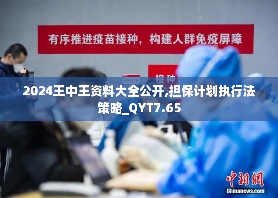 2024王中王资料大全公开,担保计划执行法策略_QYT7.65