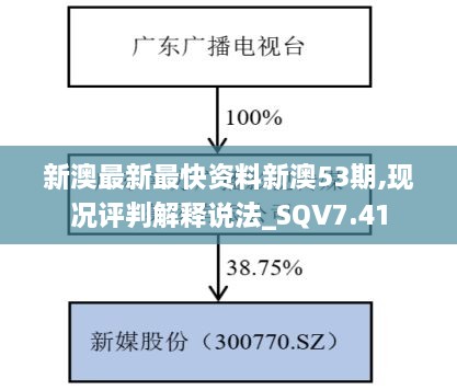 新澳最新最快资料新澳53期,现况评判解释说法_SQV7.41