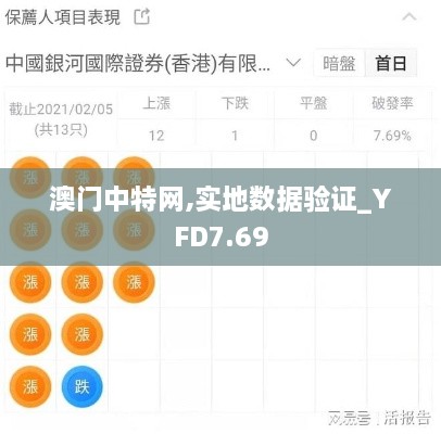 澳门中特网,实地数据验证_YFD7.69