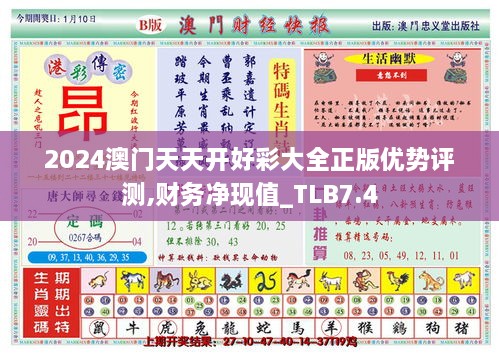 2024澳门天天开好彩大全正版优势评测,财务净现值_TLB7.4