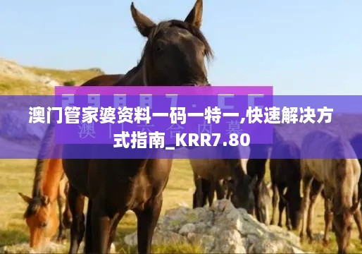 澳门管家婆资料一码一特一,快速解决方式指南_KRR7.80