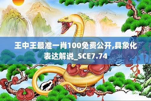 王中王最准一肖100免费公开,具象化表达解说_SCE7.74