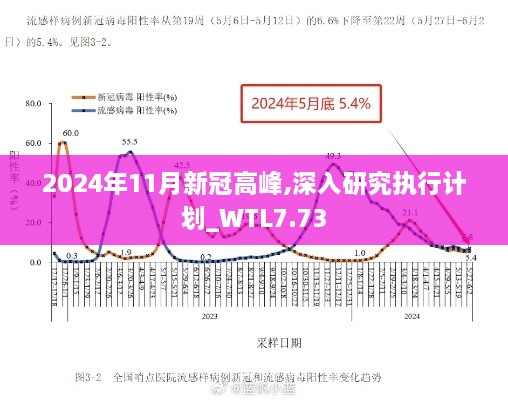 2024年11月新冠高峰,深入研究执行计划_WTL7.73