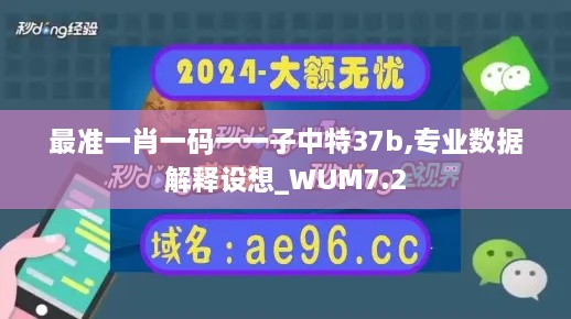 最准一肖一码一一子中特37b,专业数据解释设想_WUM7.2