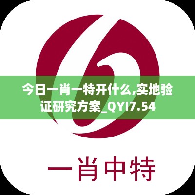 今日一肖一特开什么,实地验证研究方案_QYI7.54