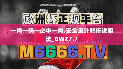 一肖一码一必中一肖,安全设计解析说明法_GWZ7.7