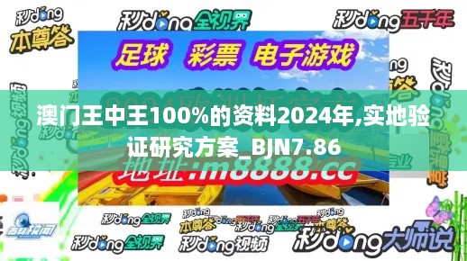 澳门王中王100%的资料2024年,实地验证研究方案_BJN7.86