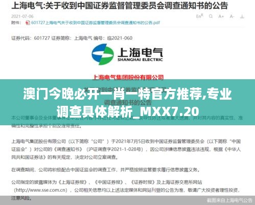 澳门今晚必开一肖一特官方推荐,专业调查具体解析_MXX7.20