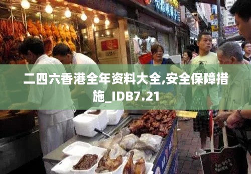 二四六香港全年资料大全,安全保障措施_IDB7.21