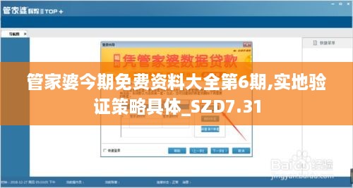 管家婆今期免费资料大全第6期,实地验证策略具体_SZD7.31