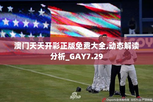 澳门天天开彩正版免费大全,动态解读分析_GAY7.29