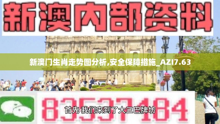 新澳门生肖走势图分析,安全保障措施_AZI7.63