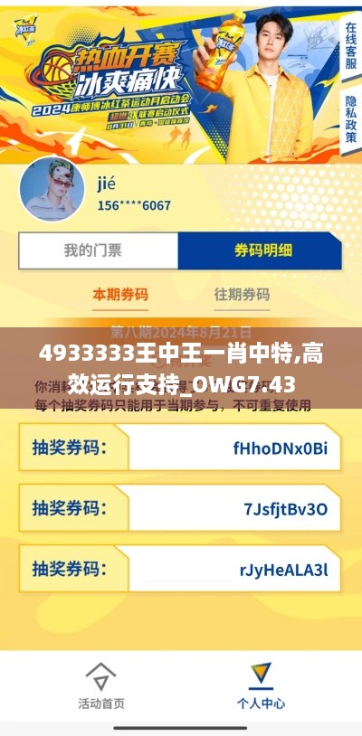 4933333王中王一肖中特,高效运行支持_OWG7.43