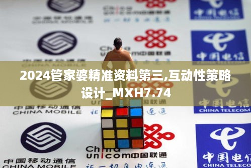 2024管家婆精准资料第三,互动性策略设计_MXH7.74