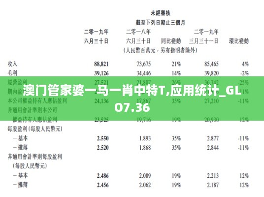 澳门管家婆一马一肖中特T,应用统计_GLO7.36