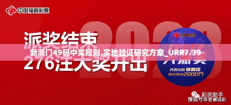 新澳门49码中奖规则,实地验证研究方案_URR7.39