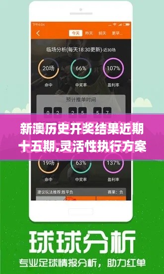 新澳历史开奖结果近期十五期,灵活性执行方案_QPZ7.95