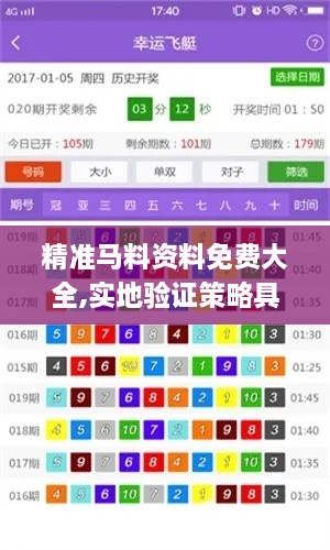 精准马料资料免费大全,实地验证策略具体_CCG7.1