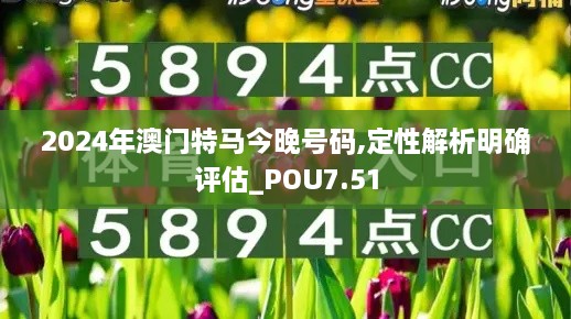 2024年澳门特马今晚号码,定性解析明确评估_POU7.51