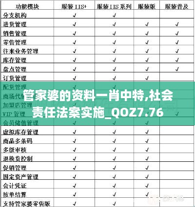 管家婆的资料一肖中特,社会责任法案实施_QOZ7.76