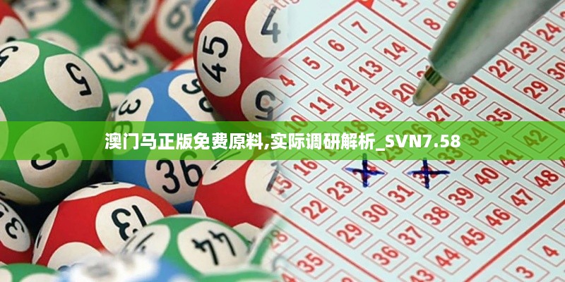 澳门马正版免费原料,实际调研解析_SVN7.58