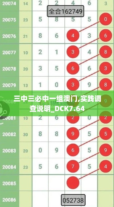 三中三必中一组澳门,实践调查说明_DCK7.64