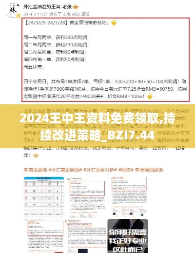 2024王中王资料免费领取,持续改进策略_BZI7.44