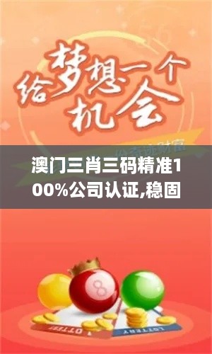 澳门三肖三码精准100%公司认证,稳固计划实施_BAX7.44