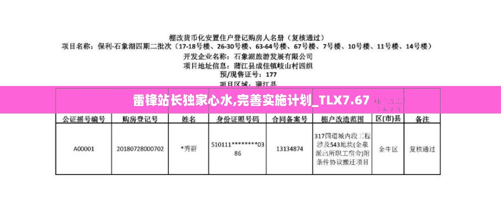 雷锋站长独家心水,完善实施计划_TLX7.67