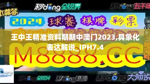 王中王精准资料期期中澳门2023,具象化表达解说_IPH7.4