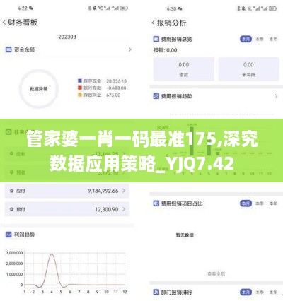 管家婆一肖一码最准175,深究数据应用策略_YJQ7.42