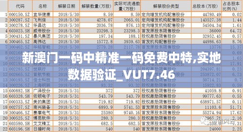 新澳门一码中精准一码免费中特,实地数据验证_VUT7.46