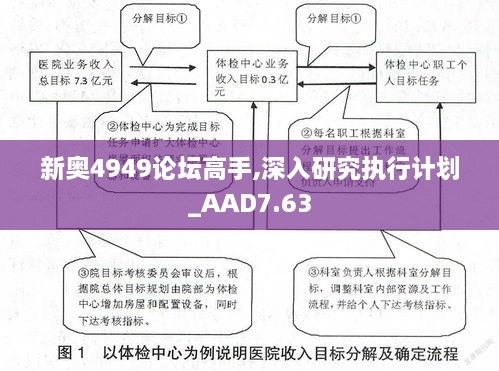 新奥4949论坛高手,深入研究执行计划_AAD7.63