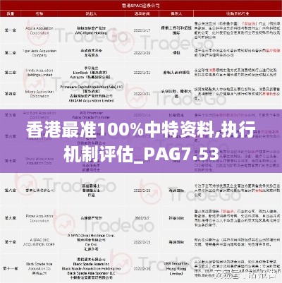 香港最准100%中特资料,执行机制评估_PAG7.53