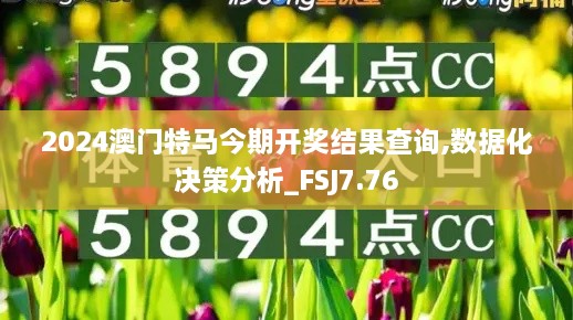 2024澳门特马今期开奖结果查询,数据化决策分析_FSJ7.76