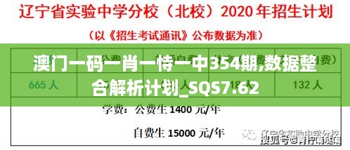 澳门一码一肖一恃一中354期,数据整合解析计划_SQS7.62