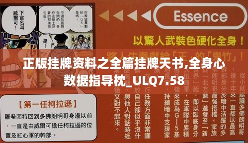 正版挂牌资料之全篇挂牌天书,全身心数据指导枕_ULQ7.58