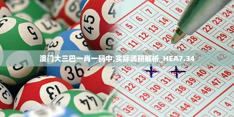 澳门大三巴一肖一码中,实际调研解析_HEA7.34