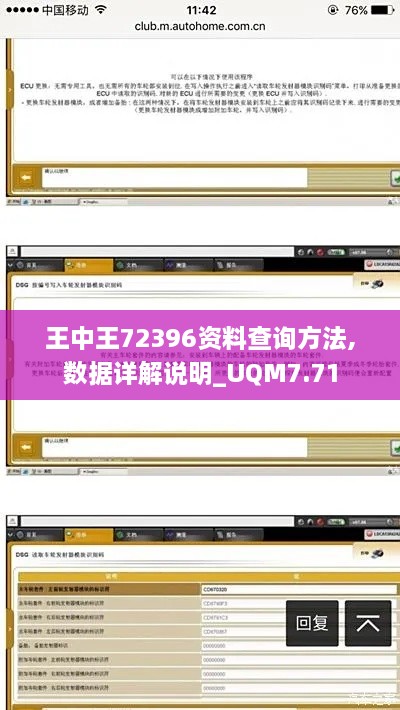 王中王72396资料查询方法,数据详解说明_UQM7.71