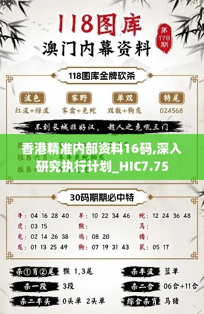 香港精准内部资料16码,深入研究执行计划_HIC7.75