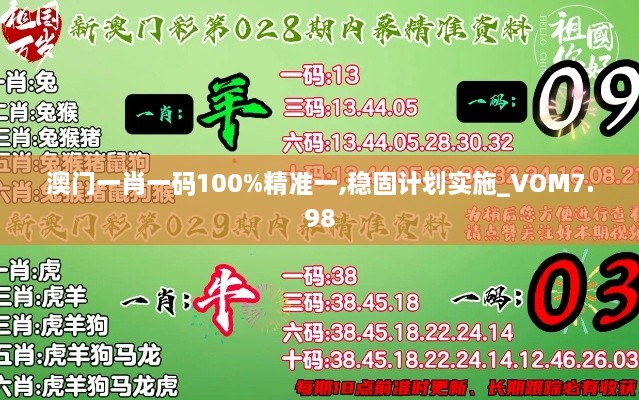 澳门一肖一码100%精准一,稳固计划实施_VOM7.98