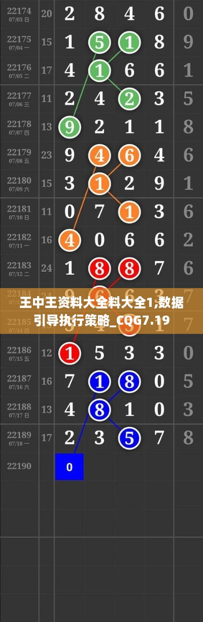 王中王资料大全料大全1,数据引导执行策略_CQG7.19