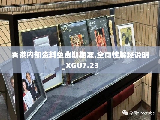 香港内部资料免费期期准,全面性解释说明_XGU7.23