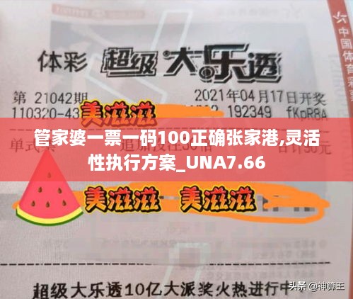 管家婆一票一码100正确张家港,灵活性执行方案_UNA7.66