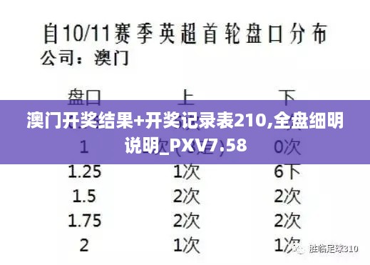 澳门开奖结果+开奖记录表210,全盘细明说明_PXV7.58