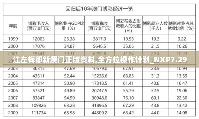 江左梅郎新澳门正版资料,全方位操作计划_NXP7.29