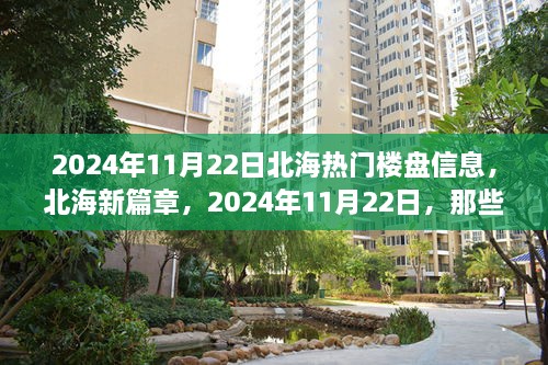 北海热门楼盘背后的励志故事，2024年11月22日北海新篇章展望