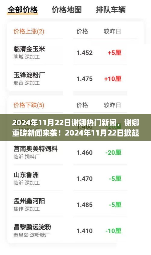 谢娜热议新闻揭秘，重磅消息掀起热议狂潮，2024年11月22日独家报道！